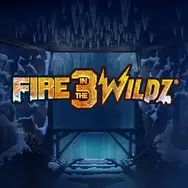 Fire in the Wildz game cover
